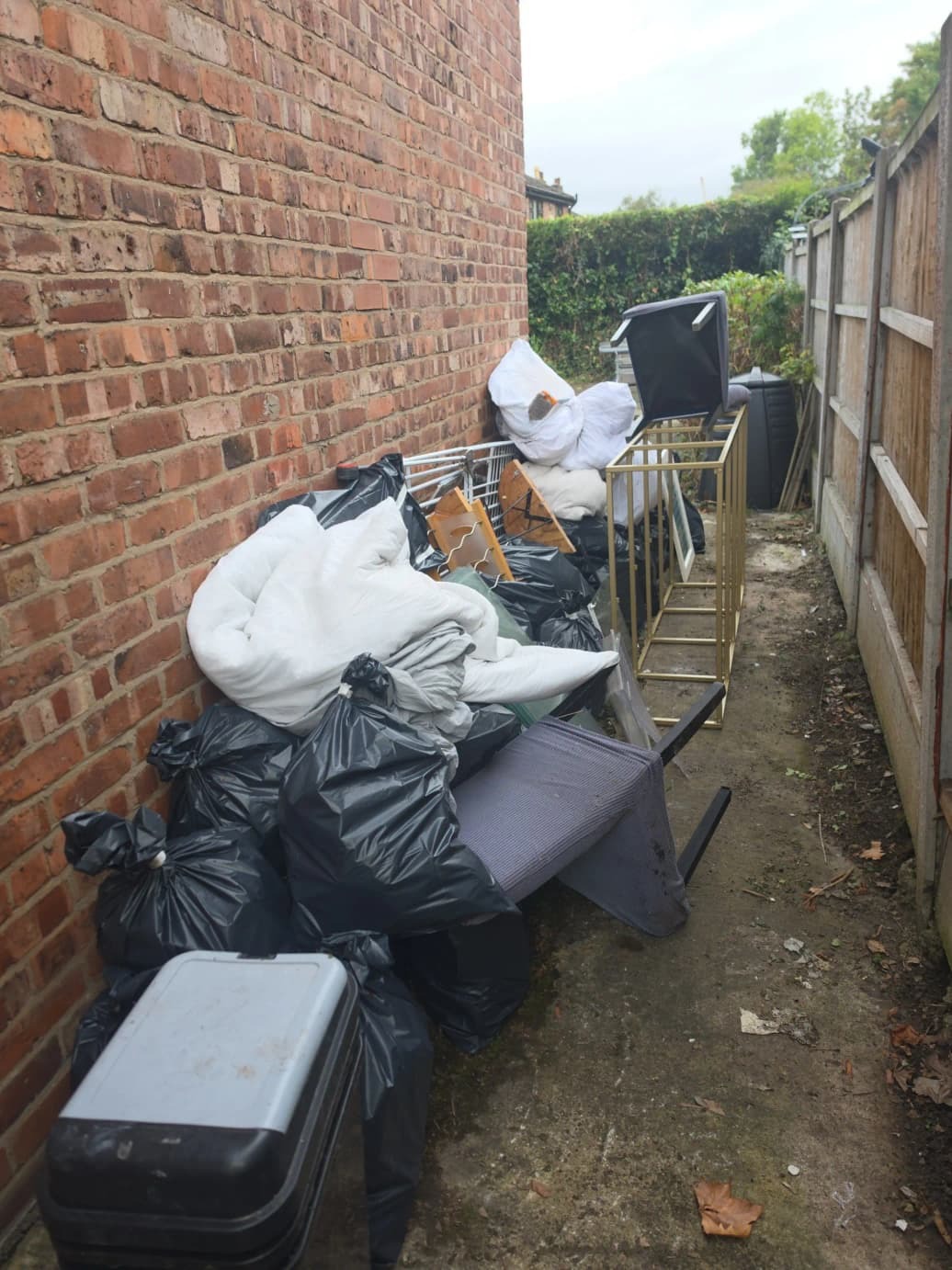 Before Waste Removal